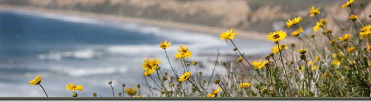 Orange County beach